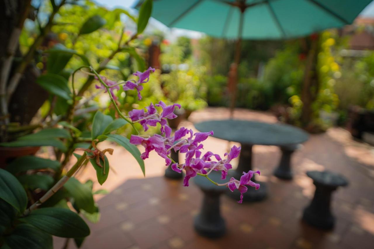 Strawberry Garden Homestay Hội An Buitenkant foto